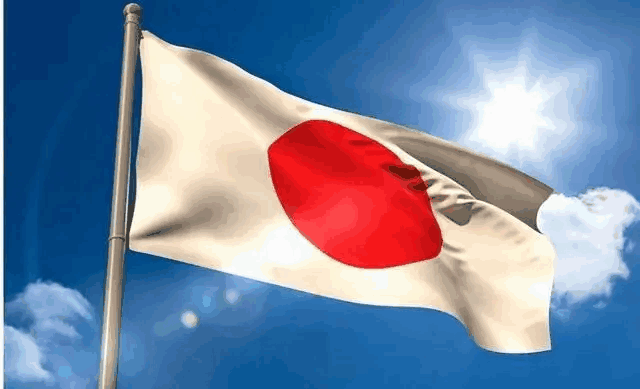 Japan VPS Hosting: 4 Best Providers for 2024