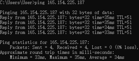 How to Ping a Domain Name or IP Address